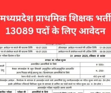 MPESB Primary School Teacher Vacancy 2025